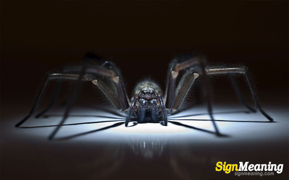 giant spider dream meaning