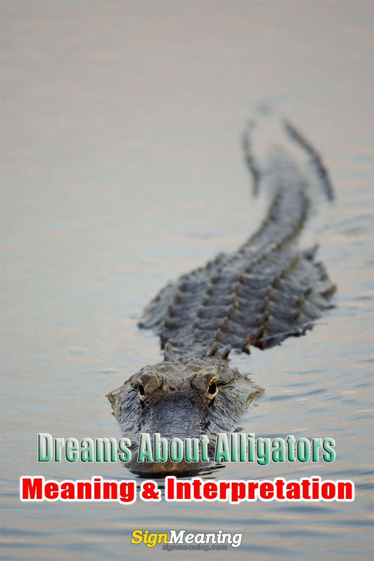 alligator dream meaning pinterest