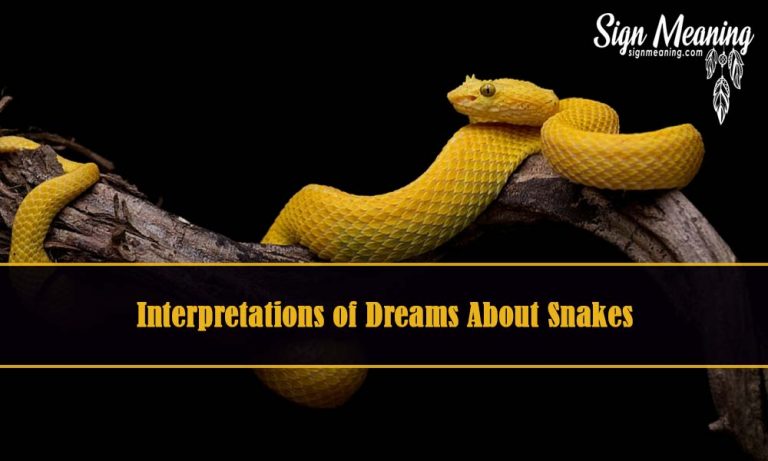 Dreams About Snakes – Meaning And Interpretation