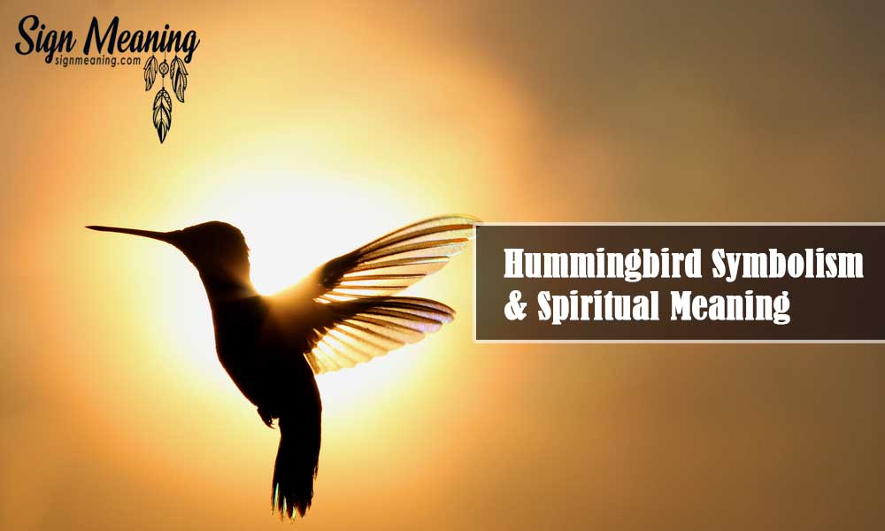 hummingbird spiritual meaning