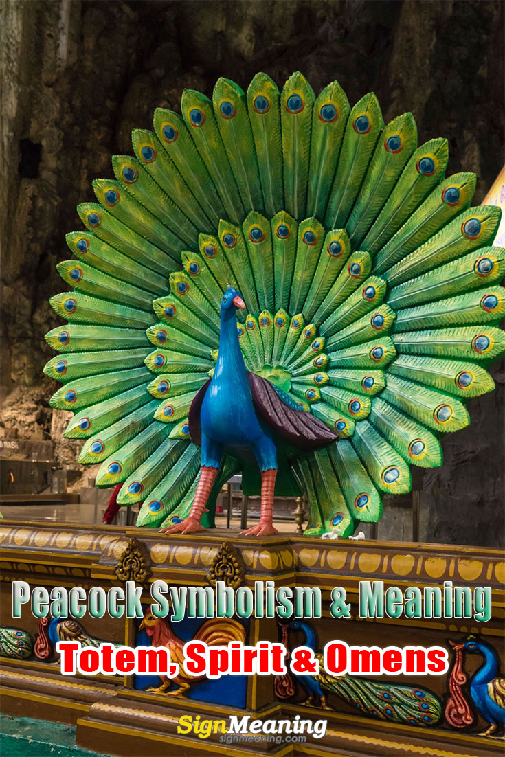 spiritual meaning of peacock pinterest