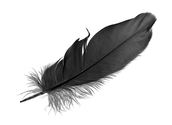 Black feather symbolism