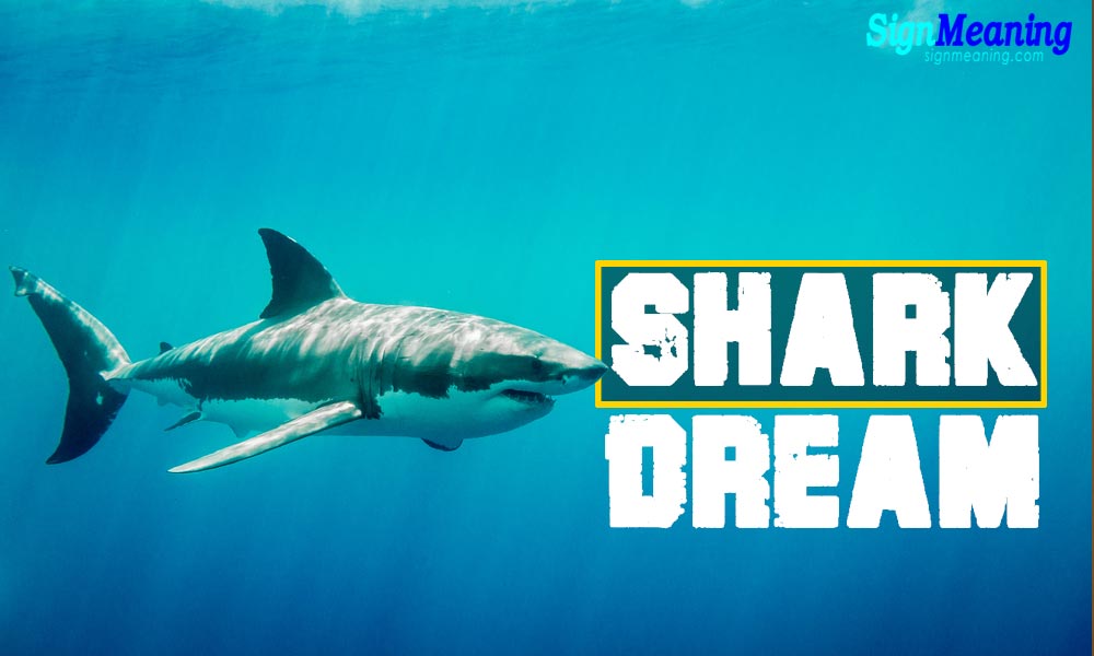 dreams about sharks