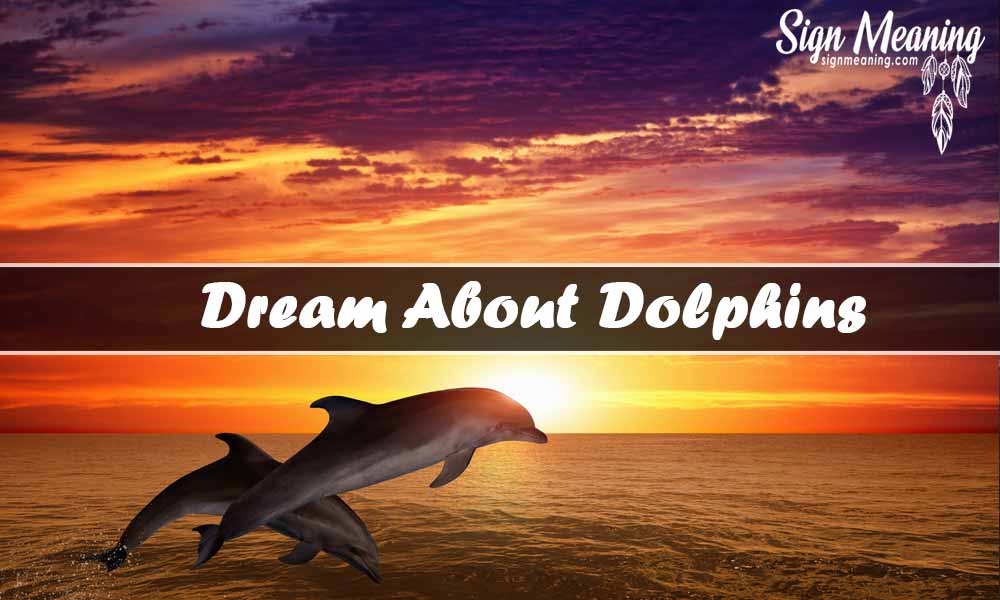 dream about dolphins