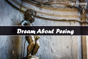 Dreams About Peeing - Meaning and Symbolic Interpretations