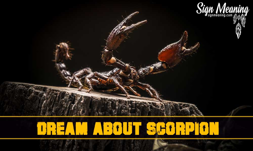 dream about scorpion