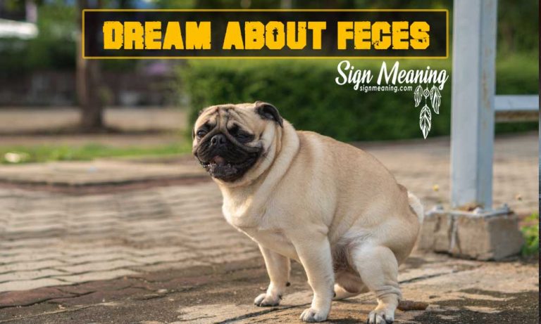 Dream About Feces Meaning And Interpretation Sign Meaning