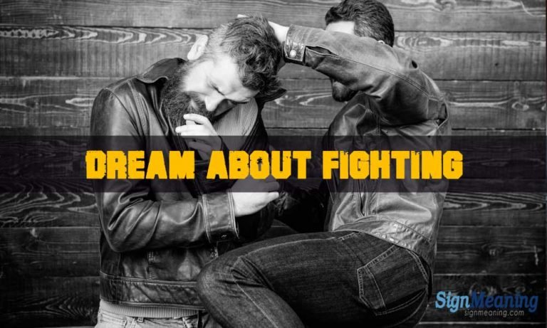 Why Do I Keep Having Dreams Of Fighting People What Does It Mean When You Dreams About Fighting?