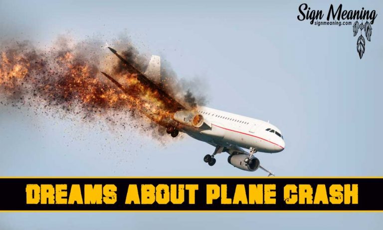 Plane Crash Meaning Breaking Bad