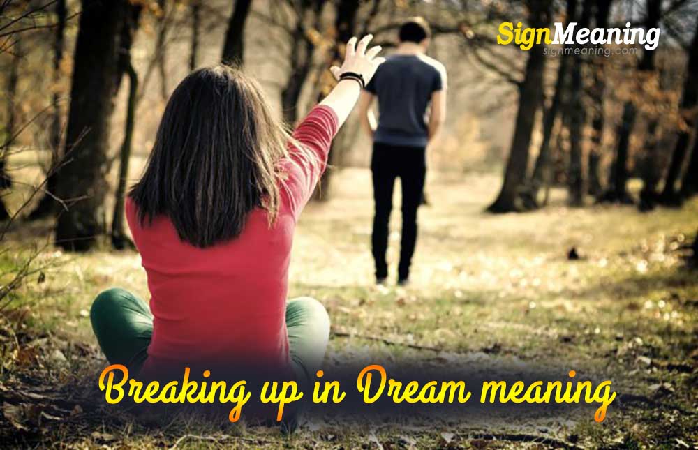 Dreams About Breaking Up Meaning Significance