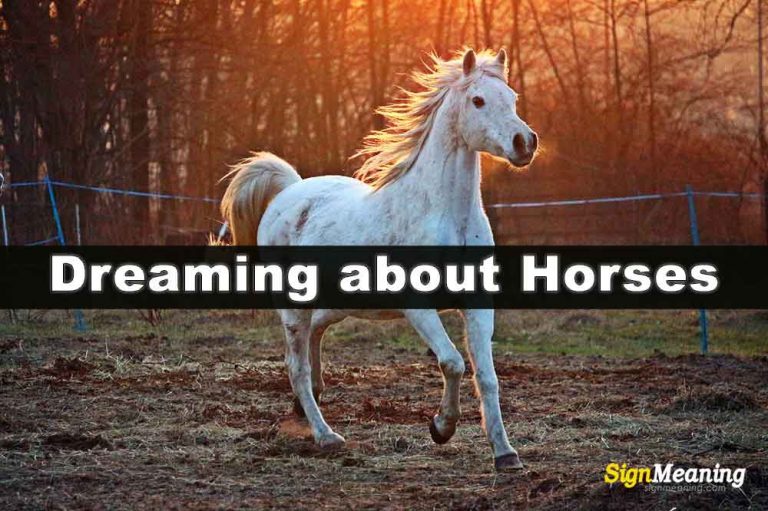 what-is-the-spiritual-meaning-of-dreaming-about-horses-sign-meaning