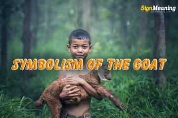 Goat – Spirit Animal, Bible Meaning and Symbolism of the Goat