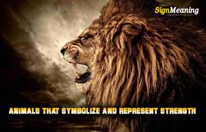 Top 7 Animals That Represent Strength - Sign Meaning