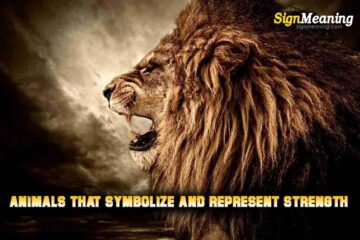 7 Animals That Symbolize and Represent Strength