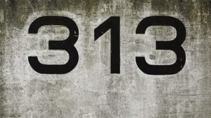 What Does it Mean if You Always See the Angel Number 313? - Sign Meaning