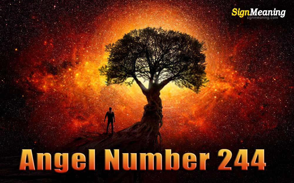 244 Angel Number Meaning For Manifestation