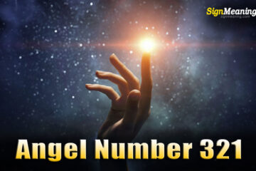 ANGEL NUMBER 321 – Meaning and Symbolism