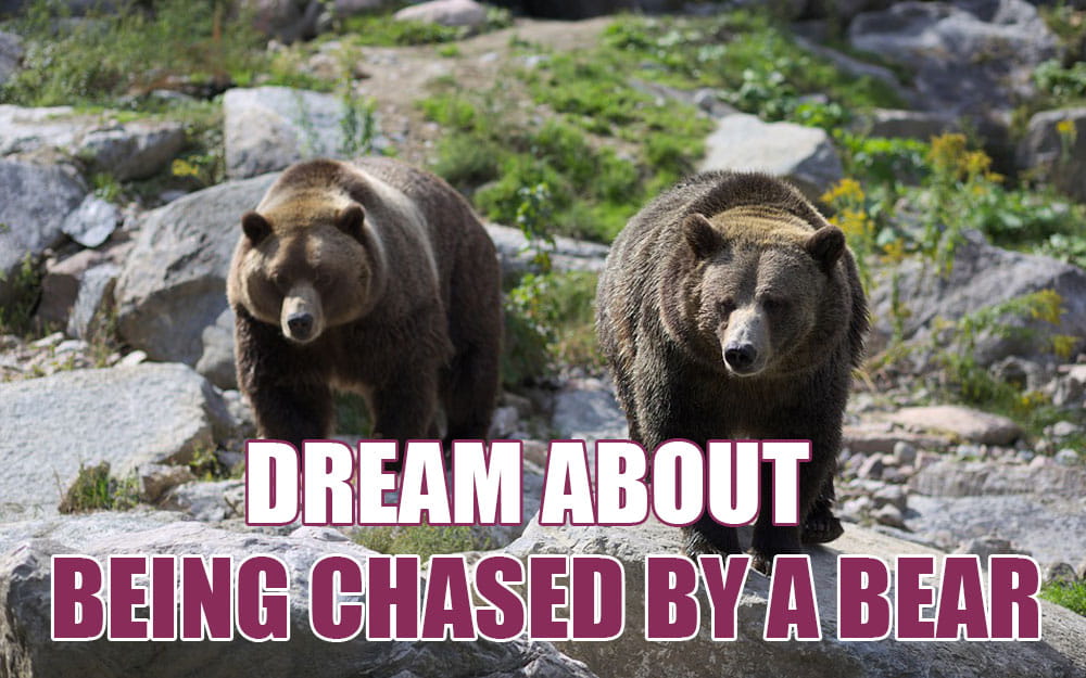 dream about being chased by a bear