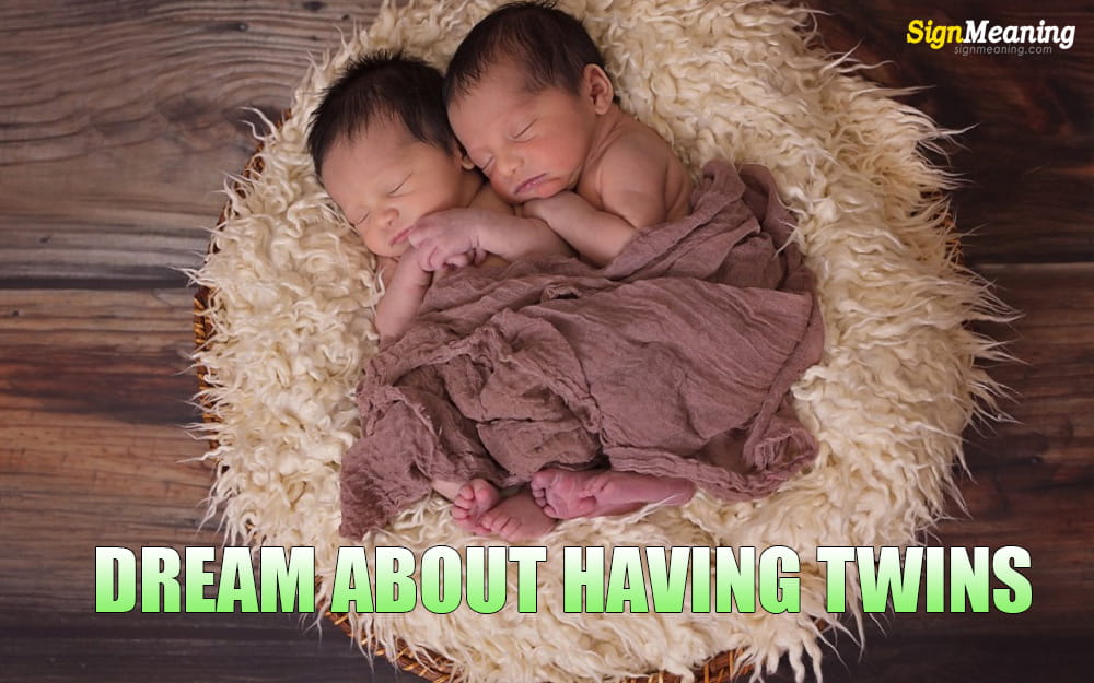 dream about having twins