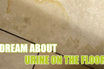 8 Symbols Of A Dream About Urine On The Floor: What Does It Predict?