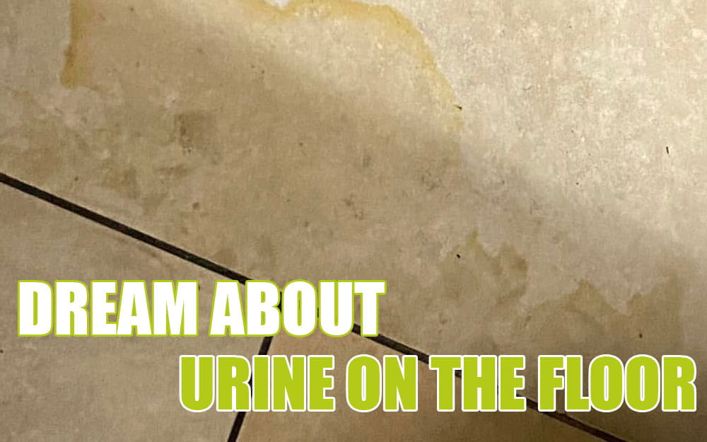 dream about urine on the floor