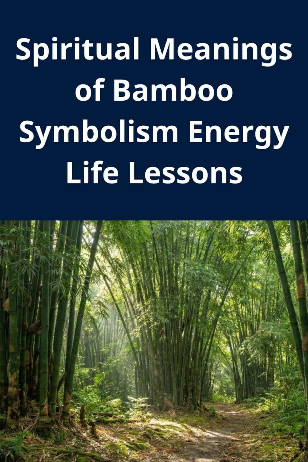 Spiritual Meanings of Bamboo Symbolism Energy Life Lessons