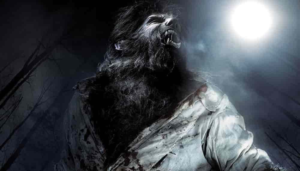 Spiritual Meanings of Dreaming About a Werewolf