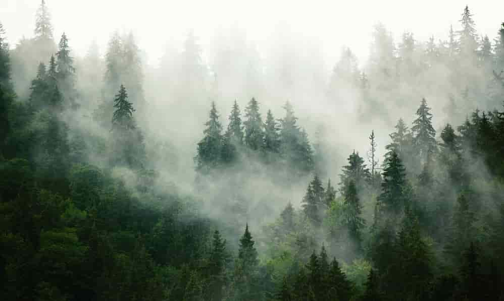 Spiritual Meanings of Mist