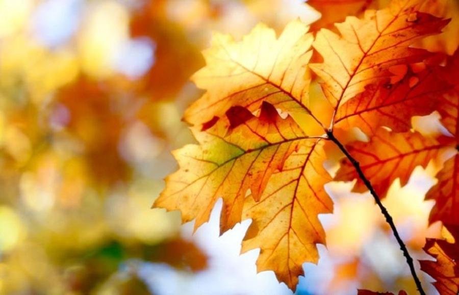 Autumn Equinox Spiritual Meaning