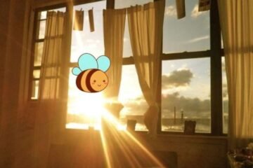 7 Spiritual Meanings of Bees in Your House