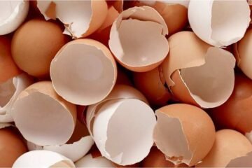 6 Spiritual Meanings of Egg Shells Explained