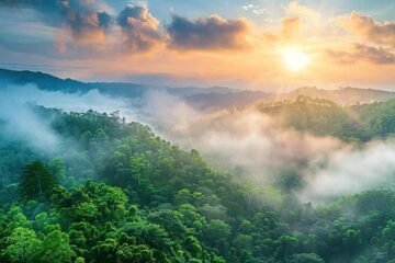 7 Spiritual Meanings of Fog and What They Symbolize