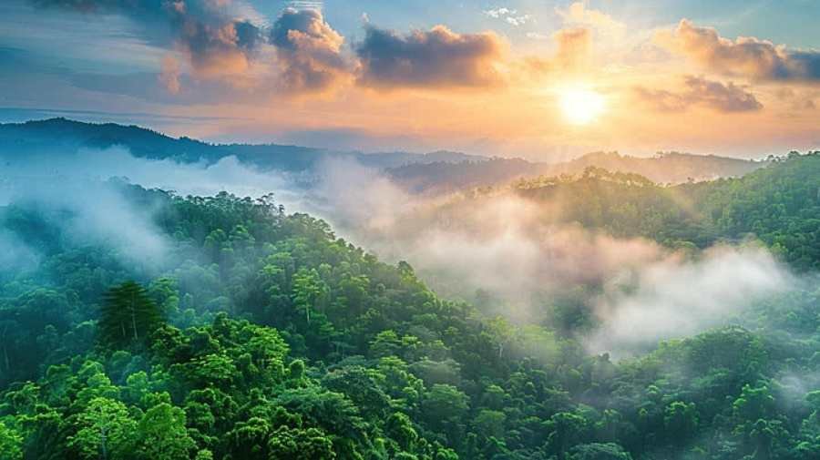 Spiritual Meaning of Fog