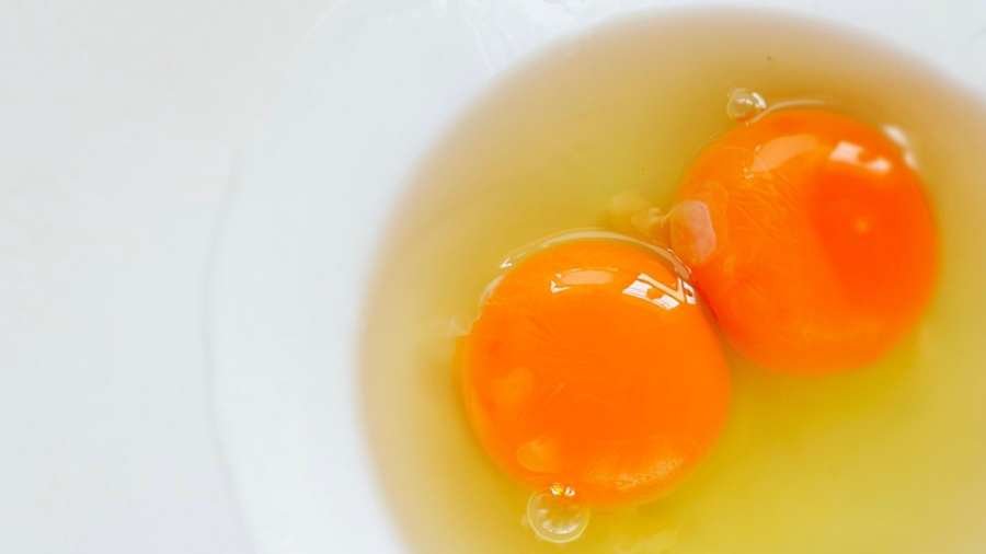 Spiritual Meaning of an Egg with Two Yolks