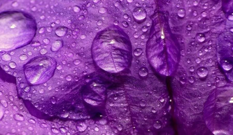 Spiritual Meanings of Color Purple