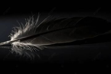 9 Spiritual Meanings of Finding a Black Feather