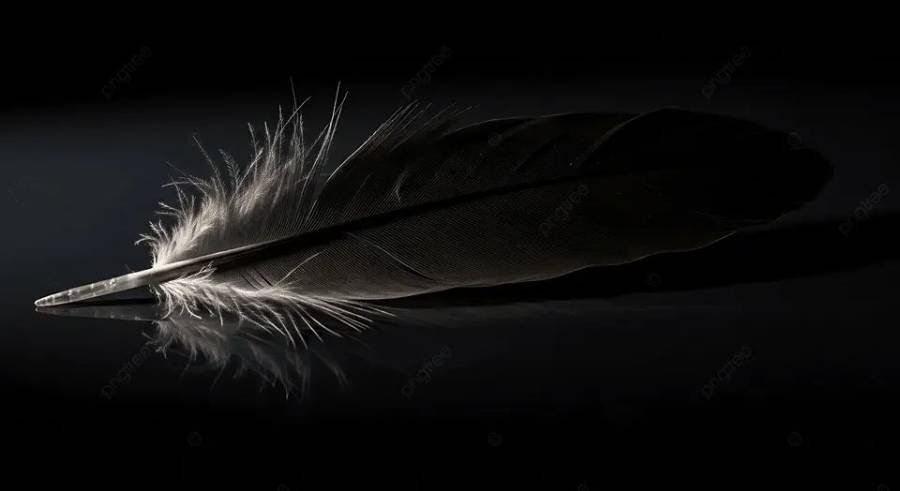 Spiritual Meanings of Finding a Black Feather