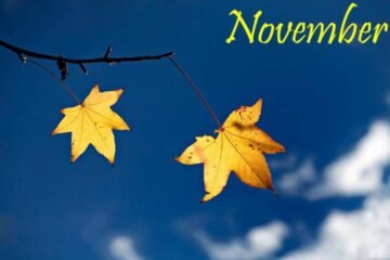 6 Spiritual Meanings of November and Their Symbolism