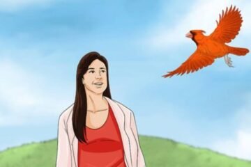 7 Spiritual Meanings of Seeing a Cardinal