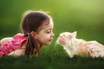 10 Spiritual Meanings of a Cat Staring at You