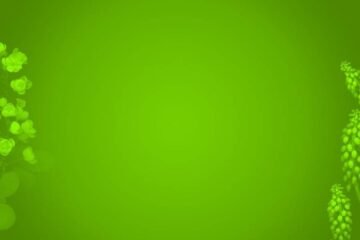 7 Spiritual Meanings of the Color Green
