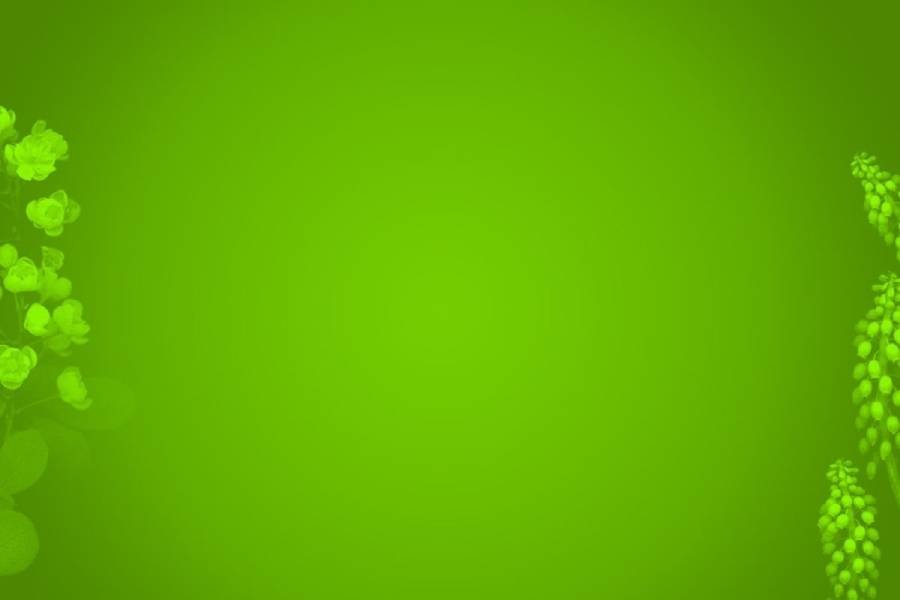 Spiritual Meanings of the Color Green
